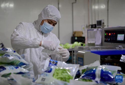 探訪大型無人植物工廠 通信技術(shù)驅(qū)動(dòng)農(nóng)業(yè)革新