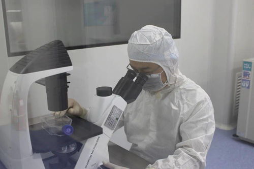 諾未科技 生命科學研究再創新，生物技術研發新突破